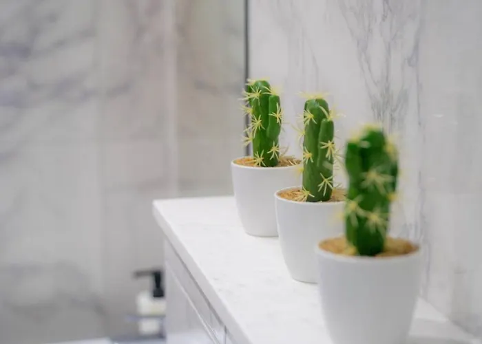 Apartamento Seaview Pearl In Mackenzie With Pool & Jacuzzi *